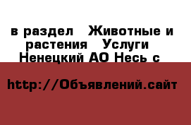  в раздел : Животные и растения » Услуги . Ненецкий АО,Несь с.